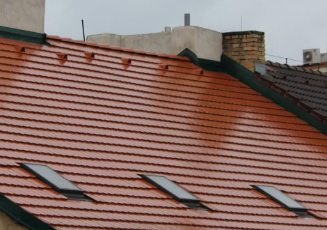 Leaking roof and ceiling